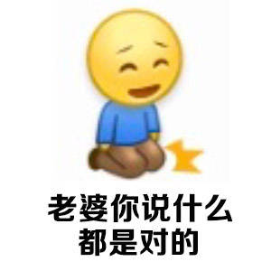 老婆你说什么都是对的 - 老婆就是天，老婆就是我的一切