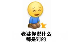 老婆你说什么都是对的 - 老婆就是天，老婆就是我的一切