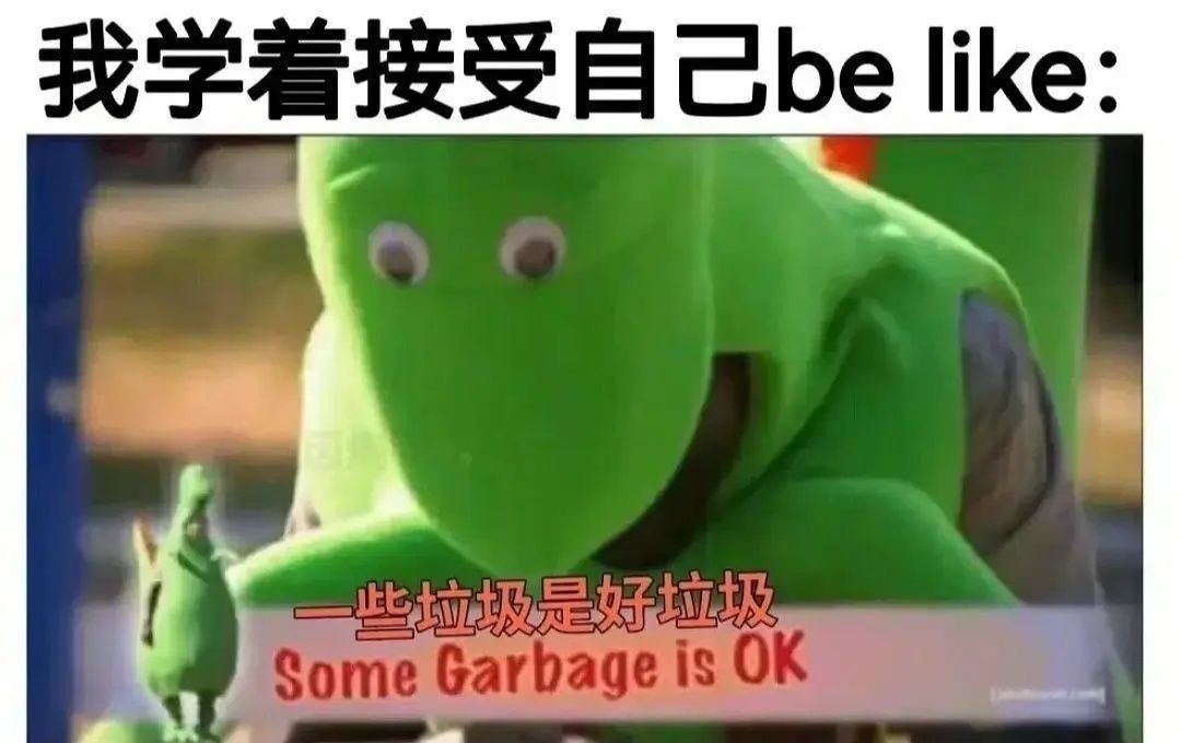 我学着接受自己be like:一些垃圾是好垃圾Some Garbage is OK