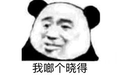 我啷个晓得 - 熊猫头斗图表情包第九弹