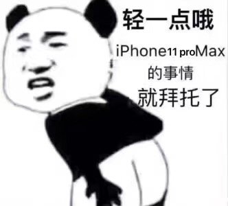 轻一点哦，iPhone11 pro max 的事情就拜托了