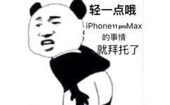 轻一点哦，iPhone11 pro max 的事情就拜托了