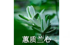 蕙质兰心 - 中老年佛系花花表情包