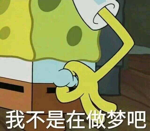 我不是在做梦吧（海绵宝宝）