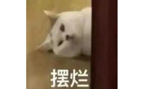 摆烂(猫猫表情包)