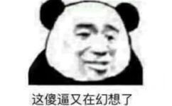 这傻逼又在幻想了