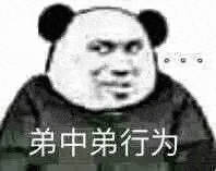 弟中弟行为(熊猫头表情包)