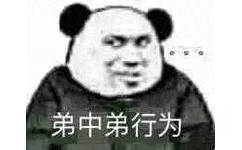 弟中弟行为(熊猫头表情包)