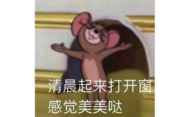 清晨起来打开窗感觉美美哒（猫和老鼠）