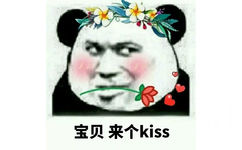 宝贝来个kiss(熊猫头口衔鲜花)