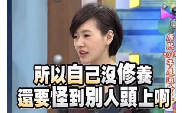 所以自己没修养 还要怪到别人头上啊 - 康熙来了小S徐熙娣表情包