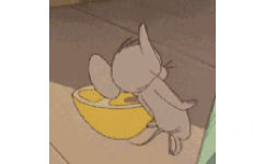 猫和老鼠杰瑞鼠吃柠檬转圈圈 GIF