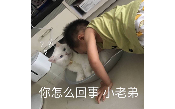 猫咪：你怎么回事？小老弟