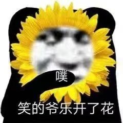 噗笑的爷乐开了花