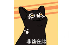 非酋在此（POPO猫表情包） - POPO猫 GIF 动图表情包