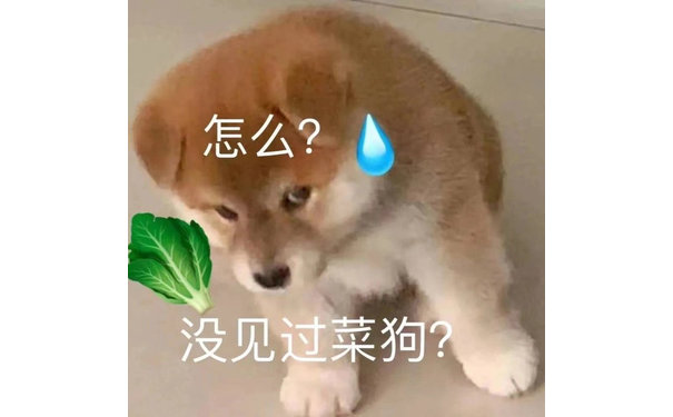 怎么?没见过菜狗?