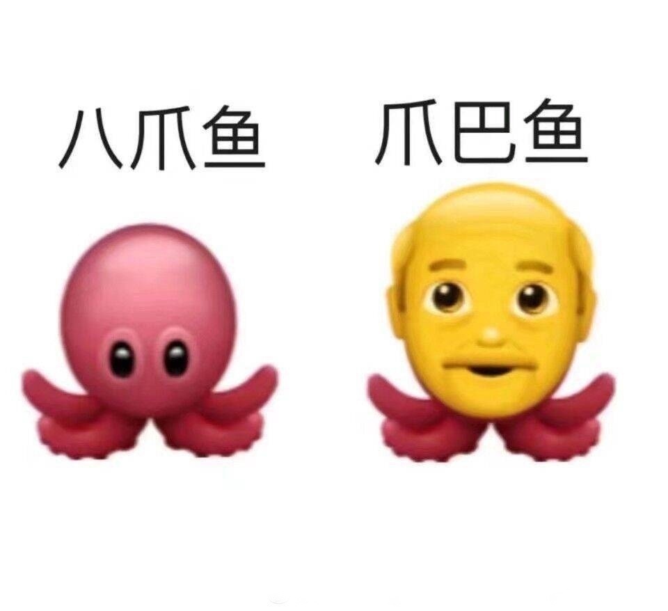 八爪鱼 给爷爬鱼