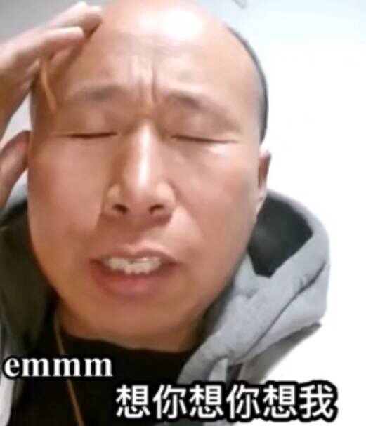 emmm想你想你想我(高飞老师表情包)