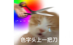 (*w色字头上一把刀(猫猫表情包)