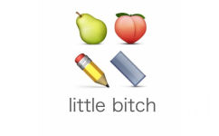 little bitch - emoji 表达文字