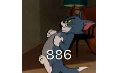 886（猫和老鼠汤姆猫）