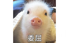委屈 - 都是猪猪的表情