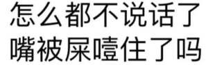 怎么都不说话了，嘴被屎噎住了吗？ - 【纯文字表情包】昨天晚上你在床上可不是这么说的