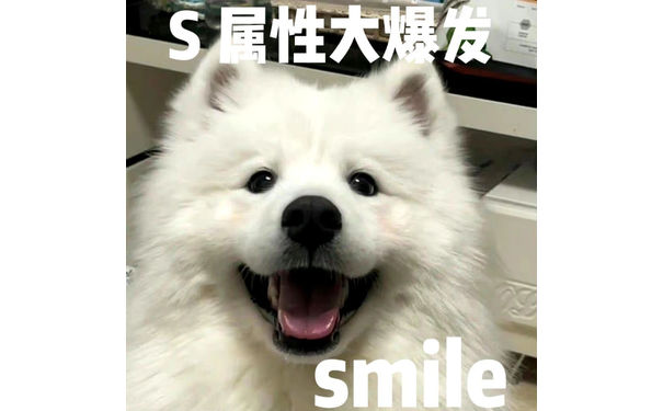 S属性大爆发smile - S属性大爆发表情包