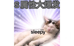 S属性大爆发sleepy