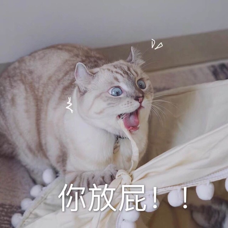 你放屁 - 一组猫咪萌宠表情包  我会有猫的 ​