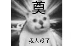 我人没了 憨憨猫表情包