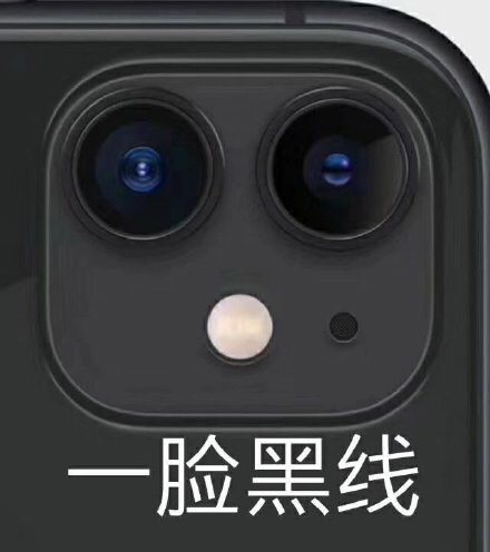 一脸黑线（iPhone11摄像头表情包） - iPhone11五彩浴霸摄像头表情包