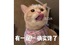 在线等流口水有一一确实馋了 - 今日份猫猫表情包