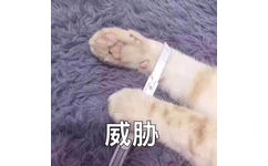 自杀威胁 - 一组猫咪萌宠表情包  我会有猫的 ​