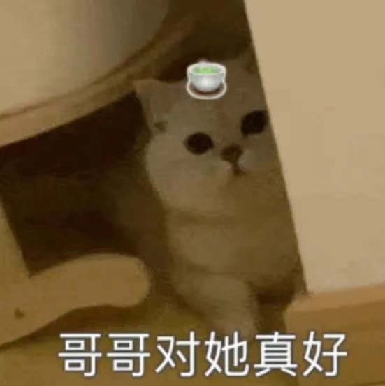 哥哥对她真好(绿茶猫猫表情包)