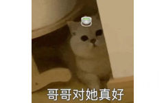 哥哥对她真好(绿茶猫猫表情包)