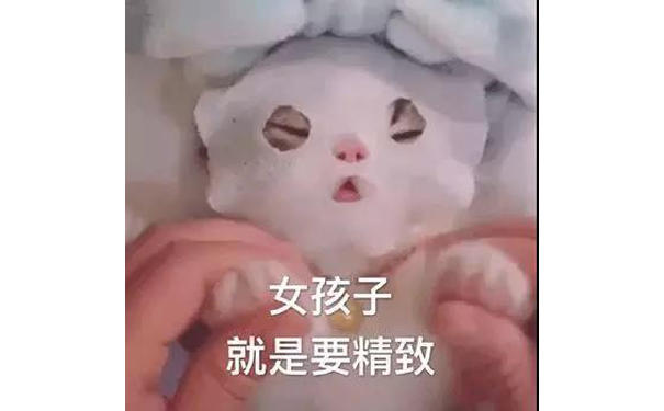 女孩子就是要精致（小猫表情包）