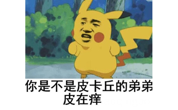 你是不是皮卡丘的弟弟皮在痒