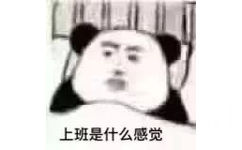 上班是什么感觉（熊猫头表情包）