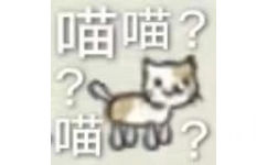 喵喵?喵?(猫咪问号表情包)