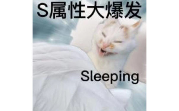 S属性大爆发Sleeping