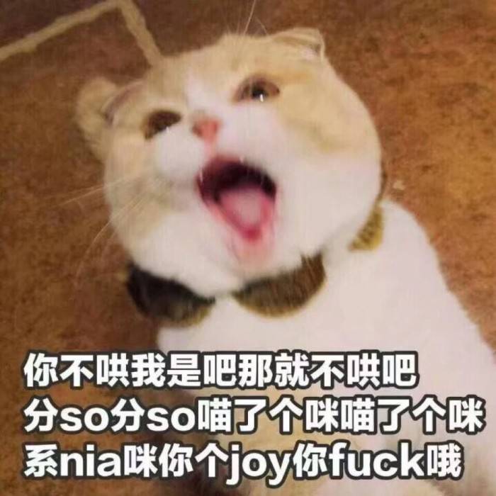 你不哄我是吧那就不哄吧分so分so喵了个咪喵了个咪系nia咪你个joy你fuck哦