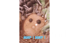 MMP mmp（愤怒沸腾的豆腐 GIF）