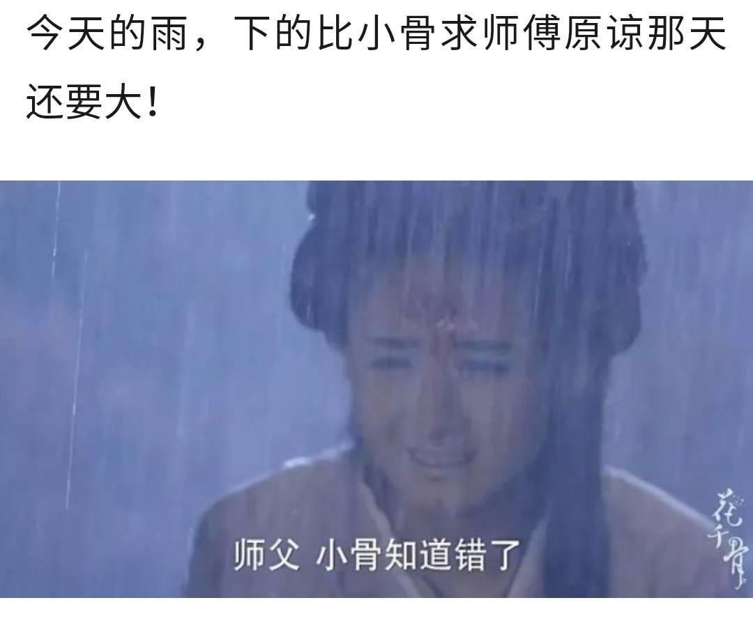 今天的雨,下的比小骨求师傅原谅那天还要大师父小骨知道错了 - 今天的雨下很大