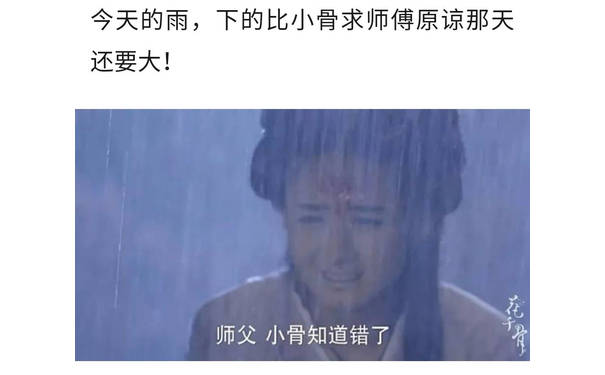 今天的雨,下的比小骨求师傅原谅那天还要大师父小骨知道错了 - 今天的雨下很大