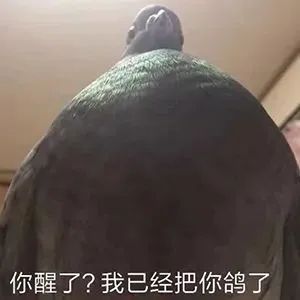 你醒了？我已经把你鸽了