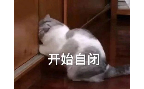 开始自闭（猫咪）