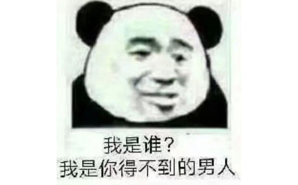 我是谁？我是你得不到的男人（熊猫头）