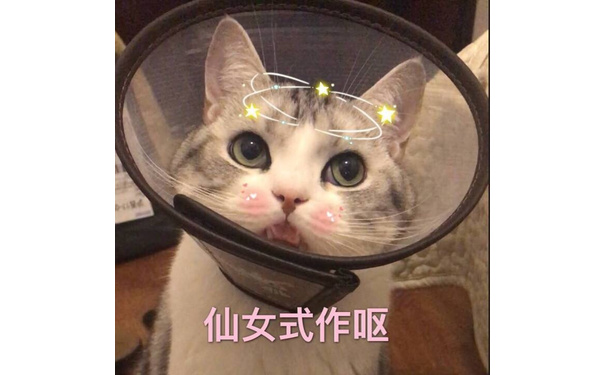 仙女式作呕 - 一波猫咪表情包