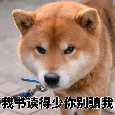 我书读得少你别骗我 - 柴犬表情包系列